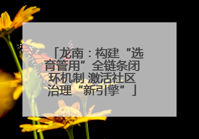 龙南：构建“选育管用”全链条闭环机制 激活社区治理“新引擎”