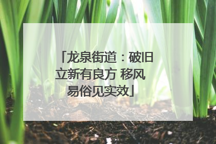 龙泉街道：破旧立新有良方 移风易俗见实效