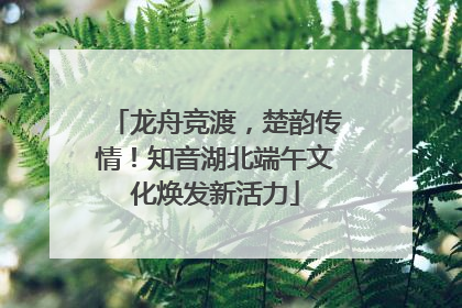龙舟竞渡，楚韵传情！知音湖北端午文化焕发新活力