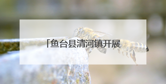 鱼台县清河镇开展反邪教宣传活动