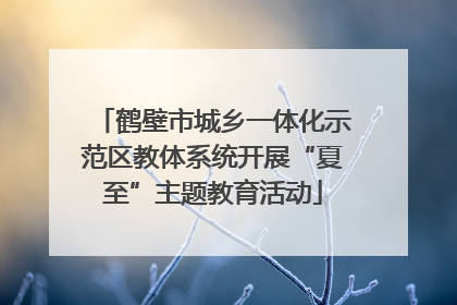 鹤壁市城乡一体化示范区教体系统开展“夏至”主题教育活动