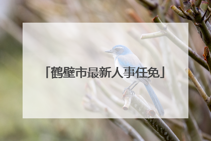 鹤壁市最新人事任免