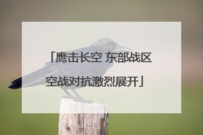 鹰击长空 东部战区空战对抗激烈展开