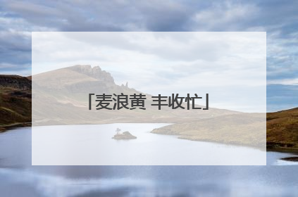 麦浪黄 丰收忙