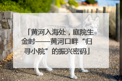 黄河入海处，庭院生金时——黄河口畔“归寻小院”的振兴密码