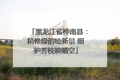 黑龙江省桦南县：精修绿韵绘新景 细护芳枝映晴空