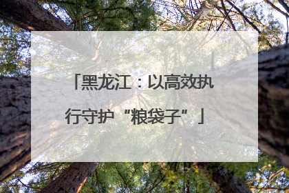 黑龙江：以高效执行守护“粮袋子”