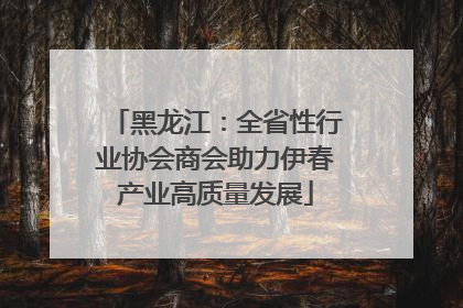 黑龙江：全省性行业协会商会助力伊春产业高质量发展
