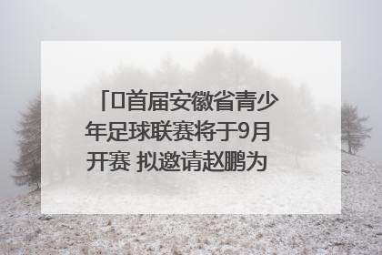 ﻿首届安徽省青少年足球联赛将于9月开赛 拟邀请赵鹏为先导赛开球