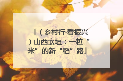 （乡村行·看振兴）山西襄垣：一粒“米”的新“稻”路