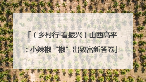 （乡村行·看振兴）山西高平：小辣椒“椒”出致富新答卷