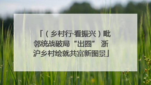 （乡村行·看振兴）毗邻统战破局“出圈” 浙沪乡村绘就共富新图景