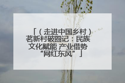 （走进中国乡村）茗新村破圈记：民族文化赋能 产业借势 “网红东风”