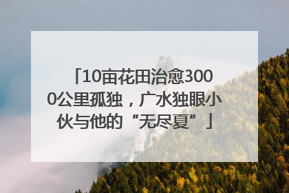 10亩花田治愈3000公里孤独，广水独眼小伙与他的“无尽夏”