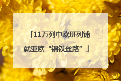 11万列中欧班列铺就亚欧“钢铁丝路”