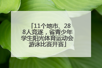11个地市、288人竞逐，省青少年学生阳光体育运动会游泳比赛开赛
