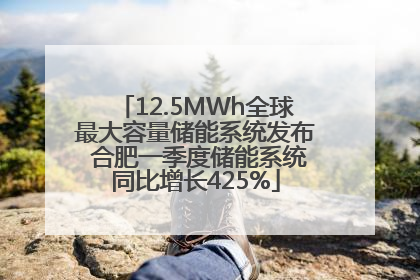12.5MWh全球最大容量储能系统发布 合肥一季度储能系统同比增长425%