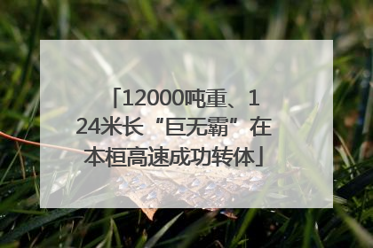 12000吨重、124米长“巨无霸”在本桓高速成功转体