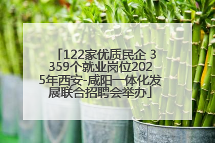 122家优质民企 3359个就业岗位2025年西安-咸阳一体化发展联合招聘会举办
