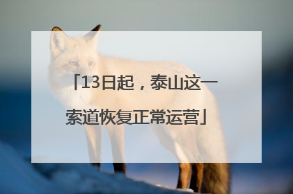 13日起，泰山这一索道恢复正常运营