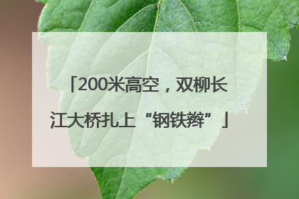 200米高空，双柳长江大桥扎上“钢铁辫”