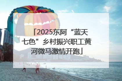 2025东阿“蓝天七色”乡村振兴职工黄河微马激情开跑