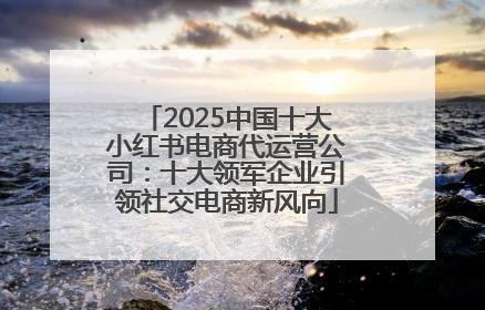 2025中国十大小红书电商代运营公司：十大领军企业引领社交电商新风向