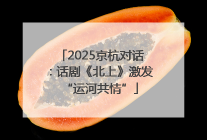 2025京杭对话：话剧《北上》激发“运河共情”