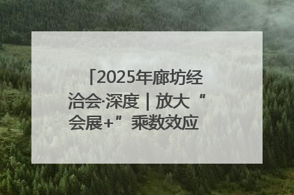 2025年廊坊经洽会·深度｜放大“会展+”乘数效应 打造消费新场景