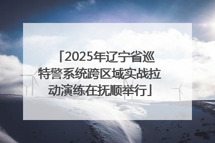 2025年辽宁省巡特警系统跨区域实战拉动演练在抚顺举行