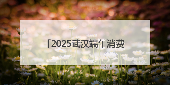 2025武汉端午消费季蔡甸启幕，百台国际级机器人亮相花博汇