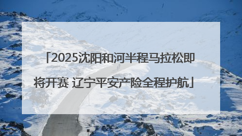 2025沈阳和河半程马拉松即将开赛 辽宁平安产险全程护航