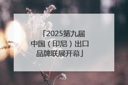 2025第九届中国（印尼）出口品牌联展开幕