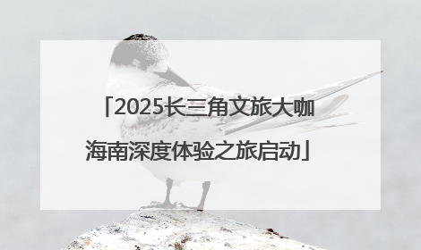 2025长三角文旅大咖海南深度体验之旅启动