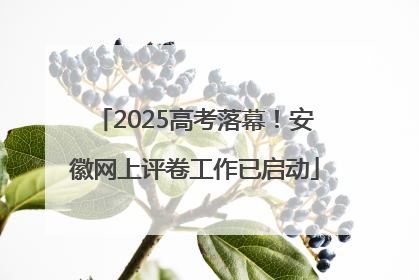 2025高考落幕！安徽网上评卷工作已启动