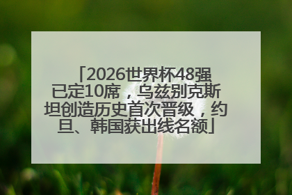 2026世界杯48强已定10席，乌兹别克斯坦创造历史首次晋级，约旦、韩国获出线名额