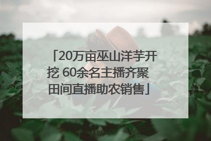 20万亩巫山洋芋开挖 60余名主播齐聚田间直播助农销售