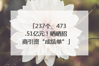 237个、473.51亿元！晒晒招商引资“成绩单”