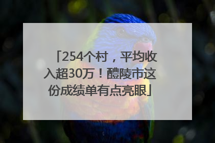 254个村，平均收入超30万！醴陵市这份成绩单有点亮眼
