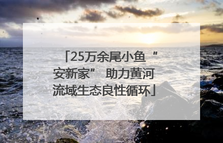 25万余尾小鱼“安新家” 助力黄河流域生态良性循环