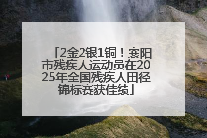 2金2银1铜！襄阳市残疾人运动员在2025年全国残疾人田径锦标赛获佳绩