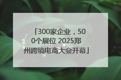 300家企业，500个展位 2025郑州跨境电商大会开幕
