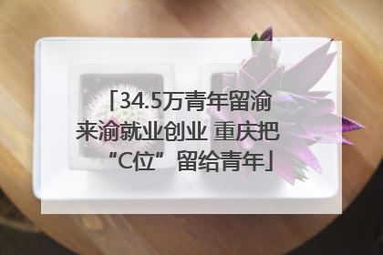 34.5万青年留渝来渝就业创业 重庆把“C位”留给青年