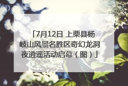 7月12日 上栗县杨岐山风景名胜区奇幻龙洞夜逍遥活动启幕（图）