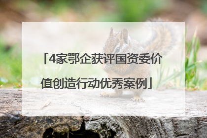 4家鄂企获评国资委价值创造行动优秀案例