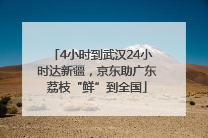 4小时到武汉24小时达新疆，京东助广东荔枝“鲜”到全国