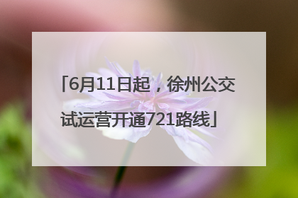 6月11日起，徐州公交试运营开通721路线