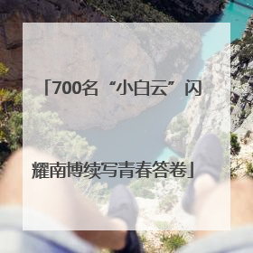 700名“小白云”闪耀南博续写青春答卷