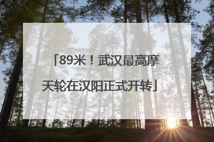 89米！武汉最高摩天轮在汉阳正式开转