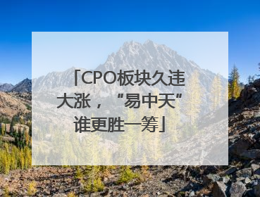 CPO板块久违大涨，“易中天”谁更胜一筹